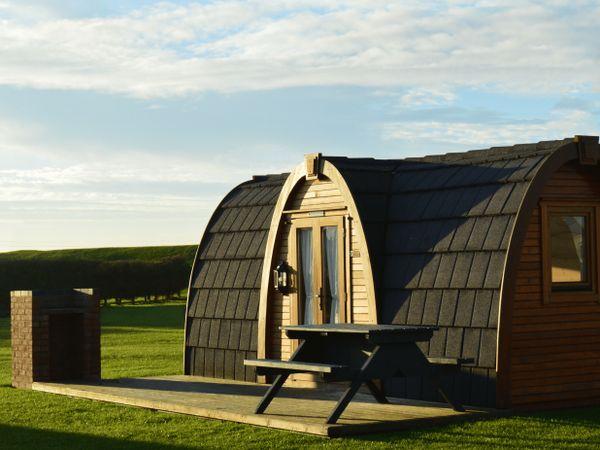 Our camping pods provide a great alternative to tents